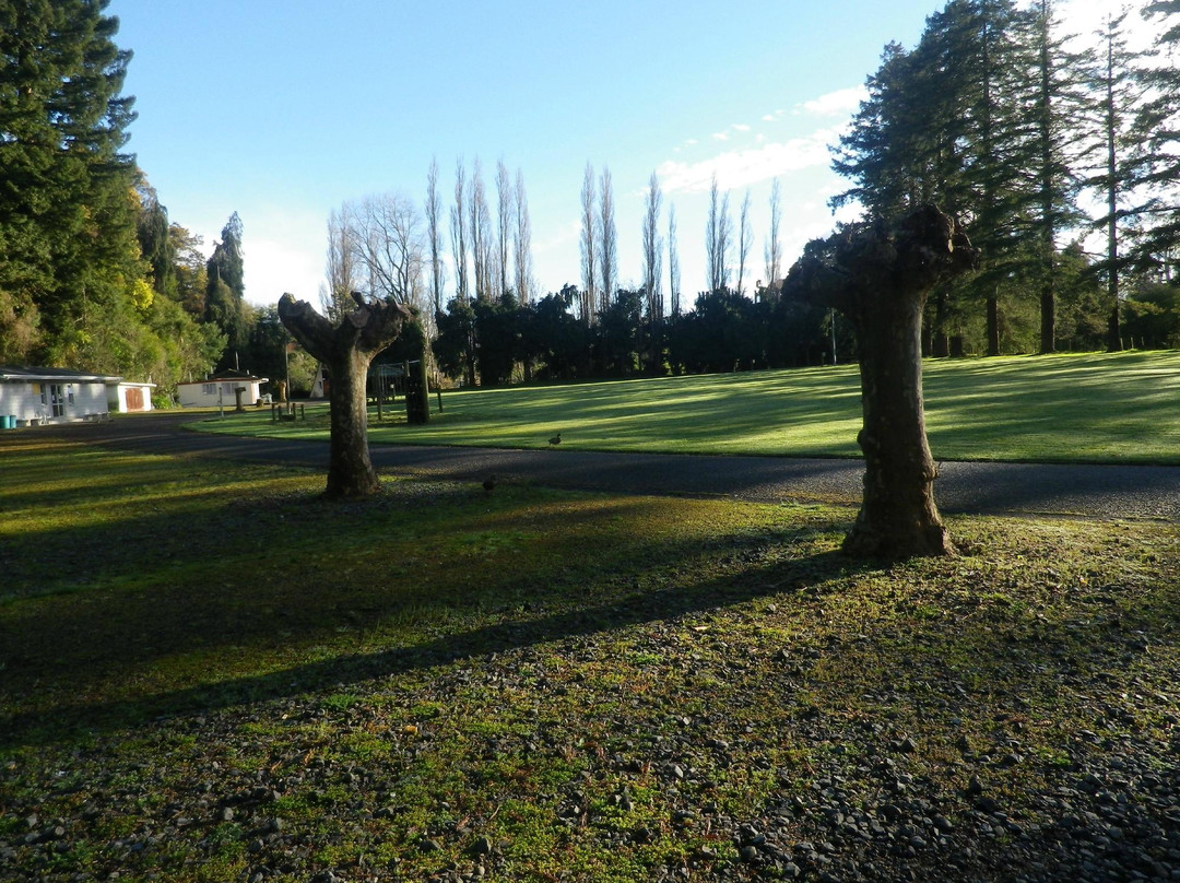 Dannevirke Holiday Park