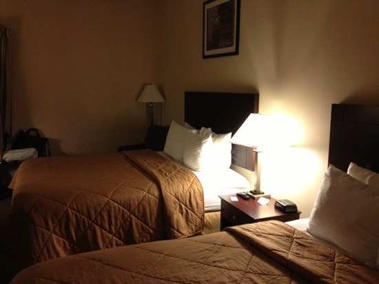 芝加哥奥黑尔希尔顿德斯普兰斯spark酒店主图