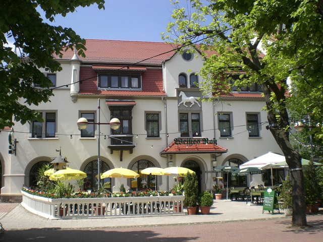 Groitzsch餐馆和美食-Hotel & Restaurant Weisses Ross