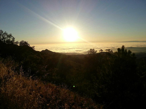 Fremont Peak State Park-San Juan Bautista必去景点