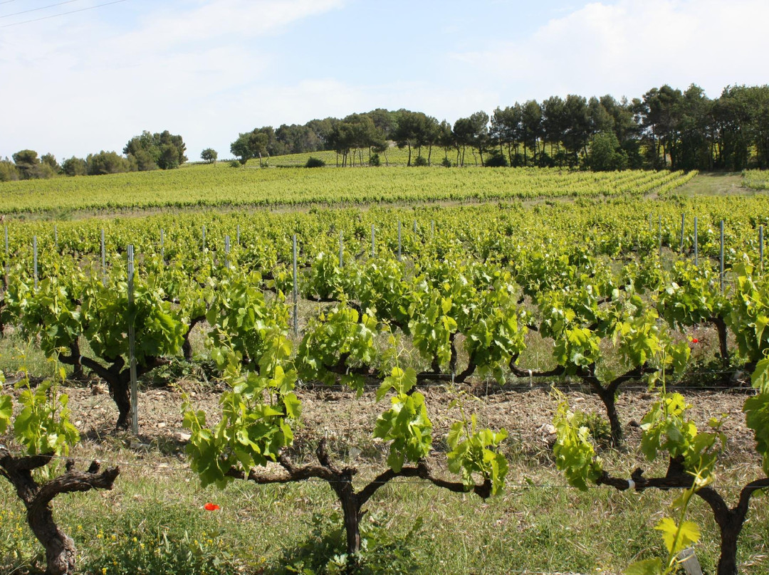 Une Bastide en Provence主图