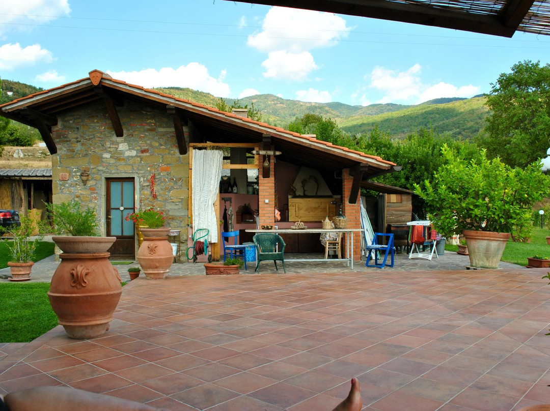农业旅馆Podere Picciolo