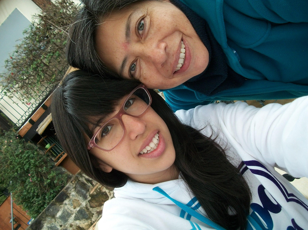 La Casa en el Bosque主图