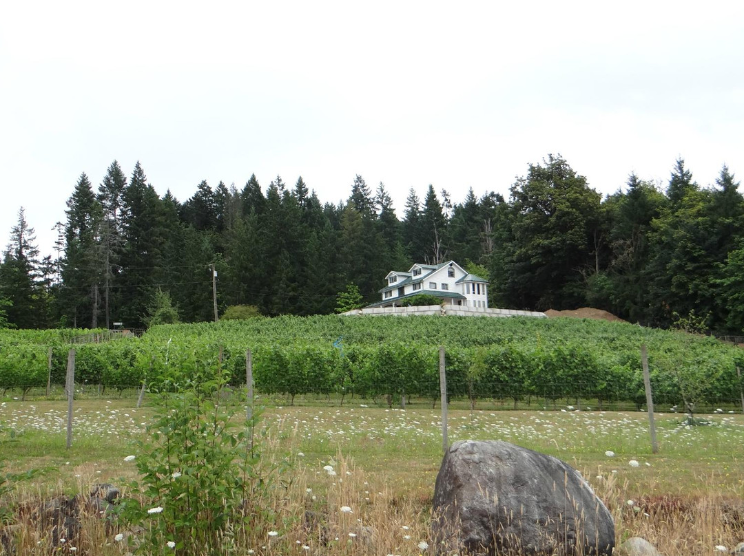 Chase and Warren Winery景点图片