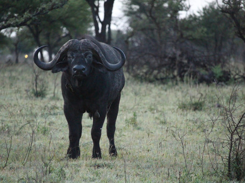 Vision Safari & Tours-阿鲁沙必去景点