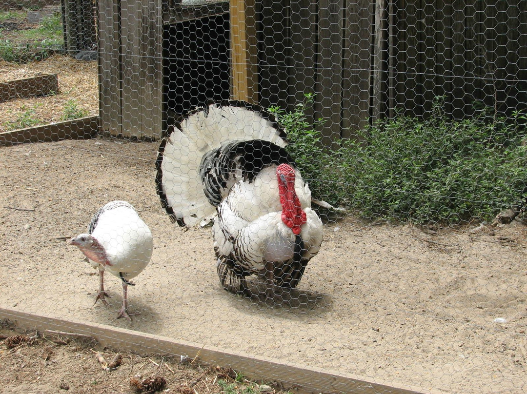 Georgia Museum of Agriculture & Historic Village景点图片