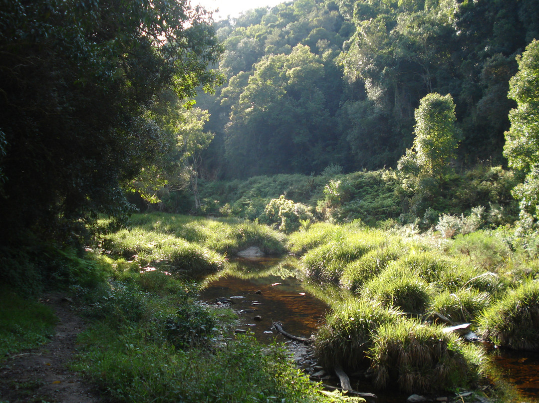 Eden Mountain Biking Tours- Day Tours-乔治必去景点