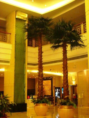 五环大酒店-浴室