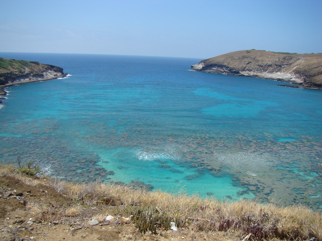 恐龙湾自然保护区-火奴鲁鲁必去景点