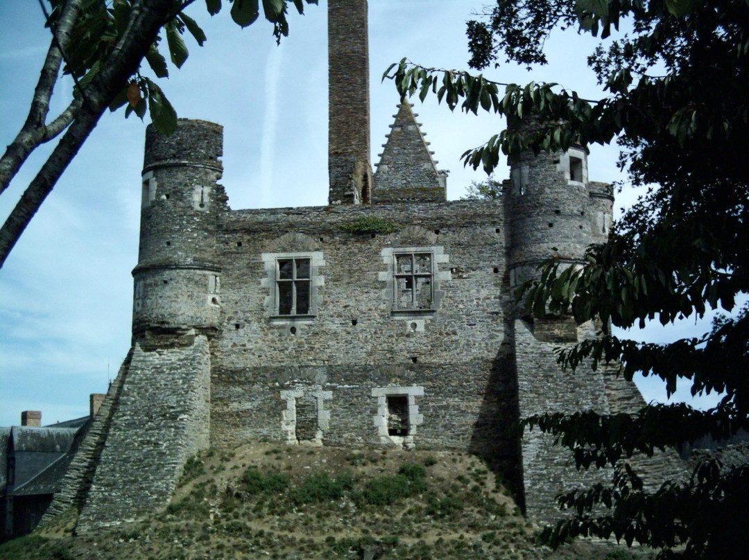 Chateau du Plessis-Mace景点图片
