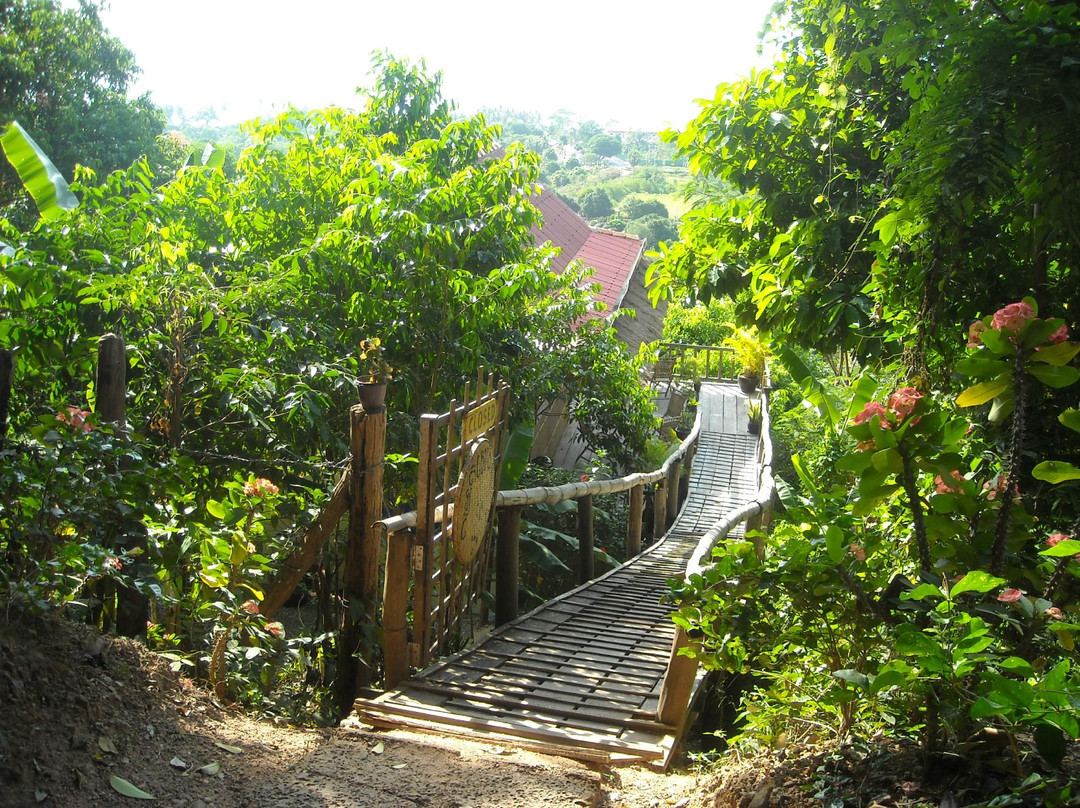 白马市国家公园-白马必去景点