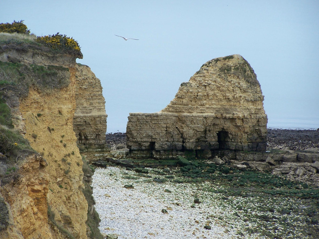 Experience Normandy Tours景点图片