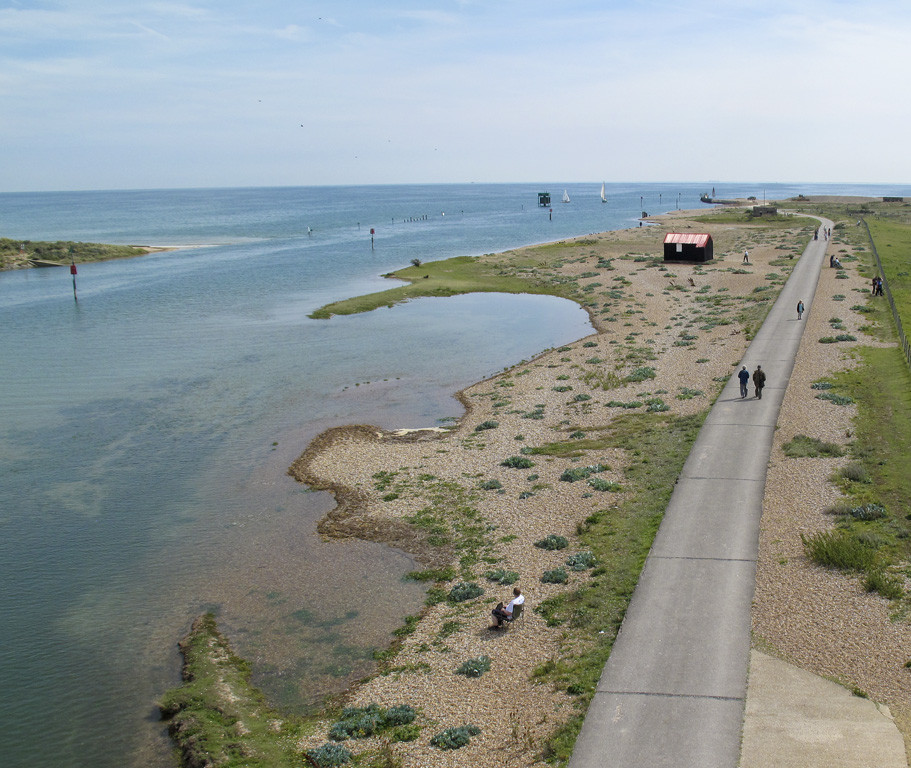 Rye Harbour Nature Reserve景点图片