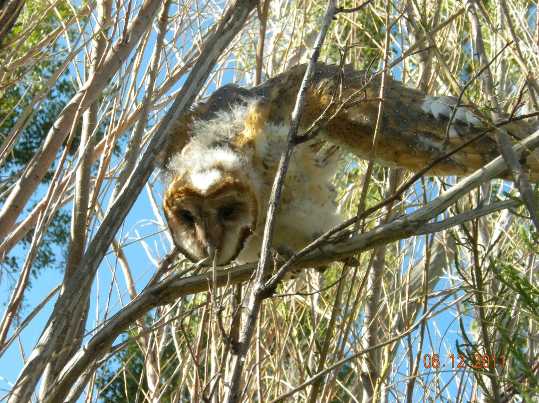 Dangberg Home Ranch Historic Park-Minden必去景点