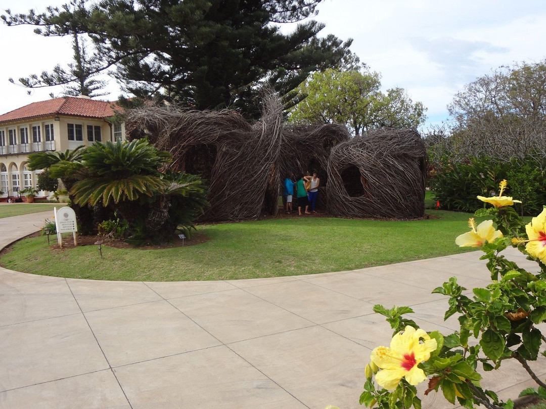 Hui No‘eau Visual Arts Center-马卡瓦必去景点