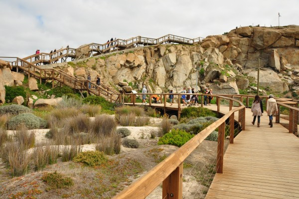 Granite Island-维克多港必去景点