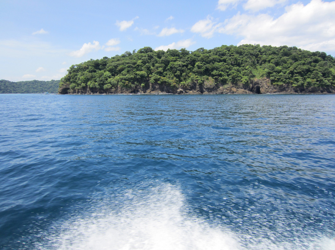 Almaco Diving & Tours-Playas del Coco必去景点