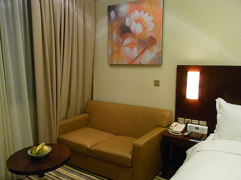 罗湖智选假日酒店主图