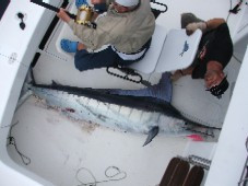 Strayline Fishing Charters-派希亚必去景点