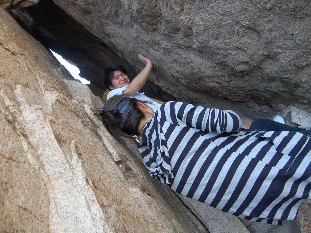 小珠山森林公园-青岛市必去景点