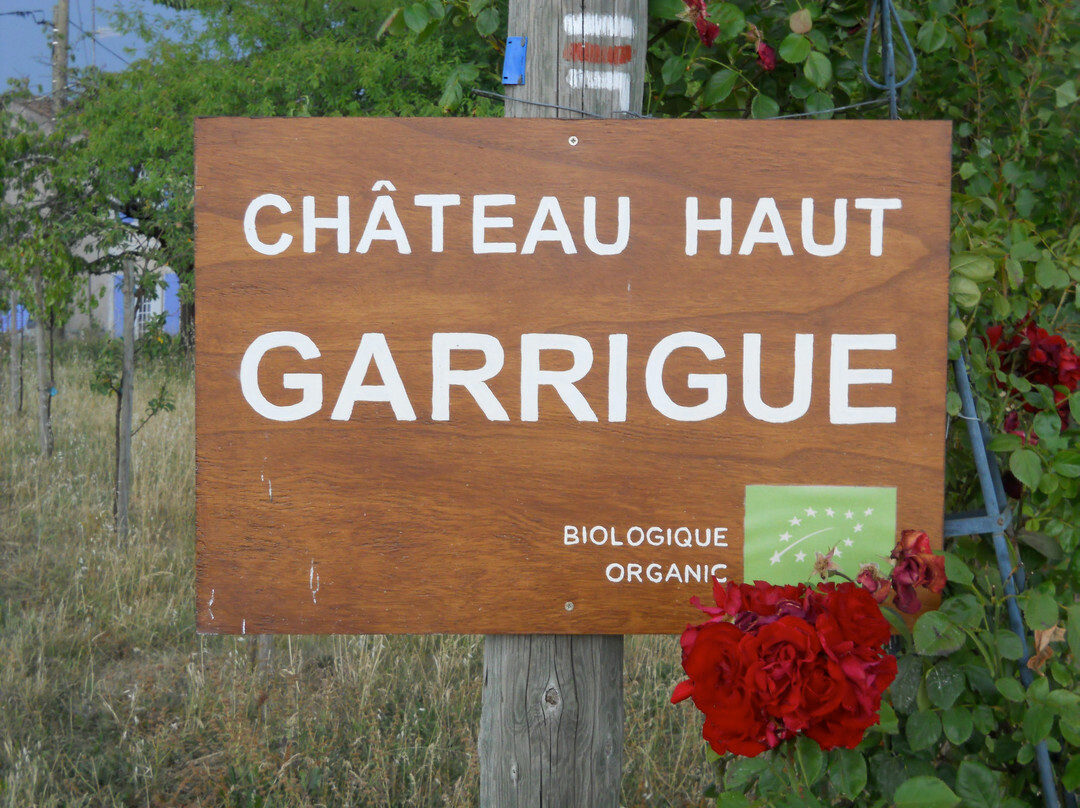 French Wine Adventures景点图片
