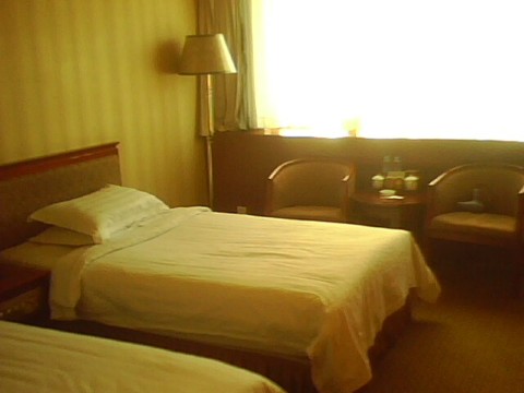 北京岭南明珠酒店-客卧