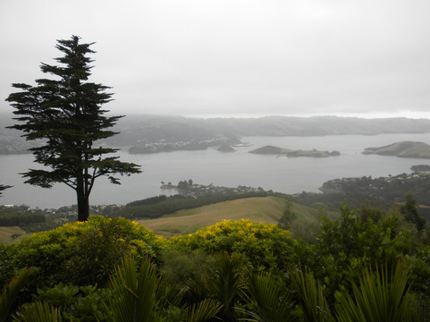 Arthur's Tours-但尼丁必去景点