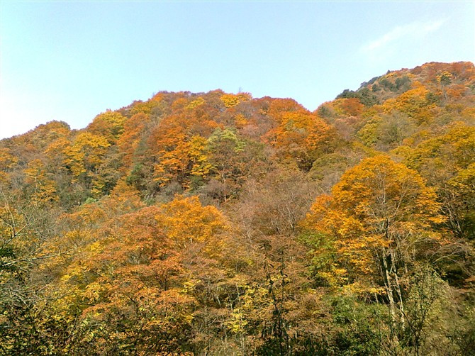 光雾山景点图片