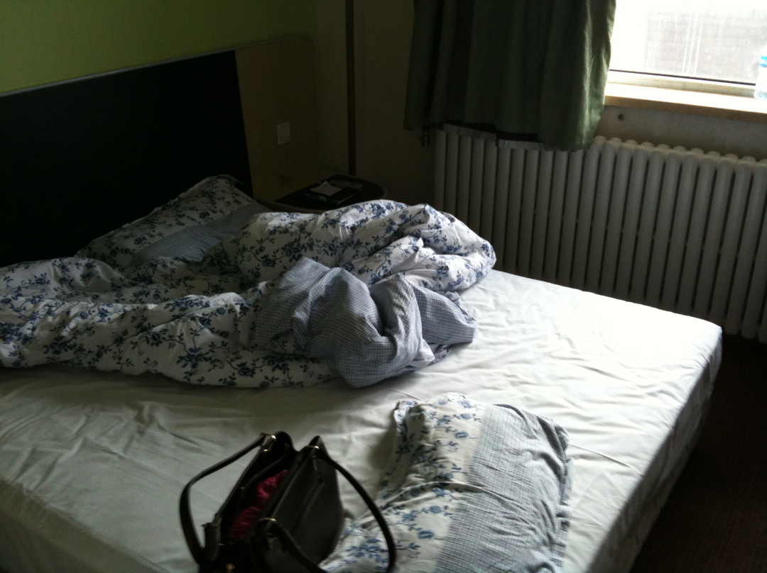 莫泰酒店-哈尔滨新阳凯德广场机场巴士站店主图