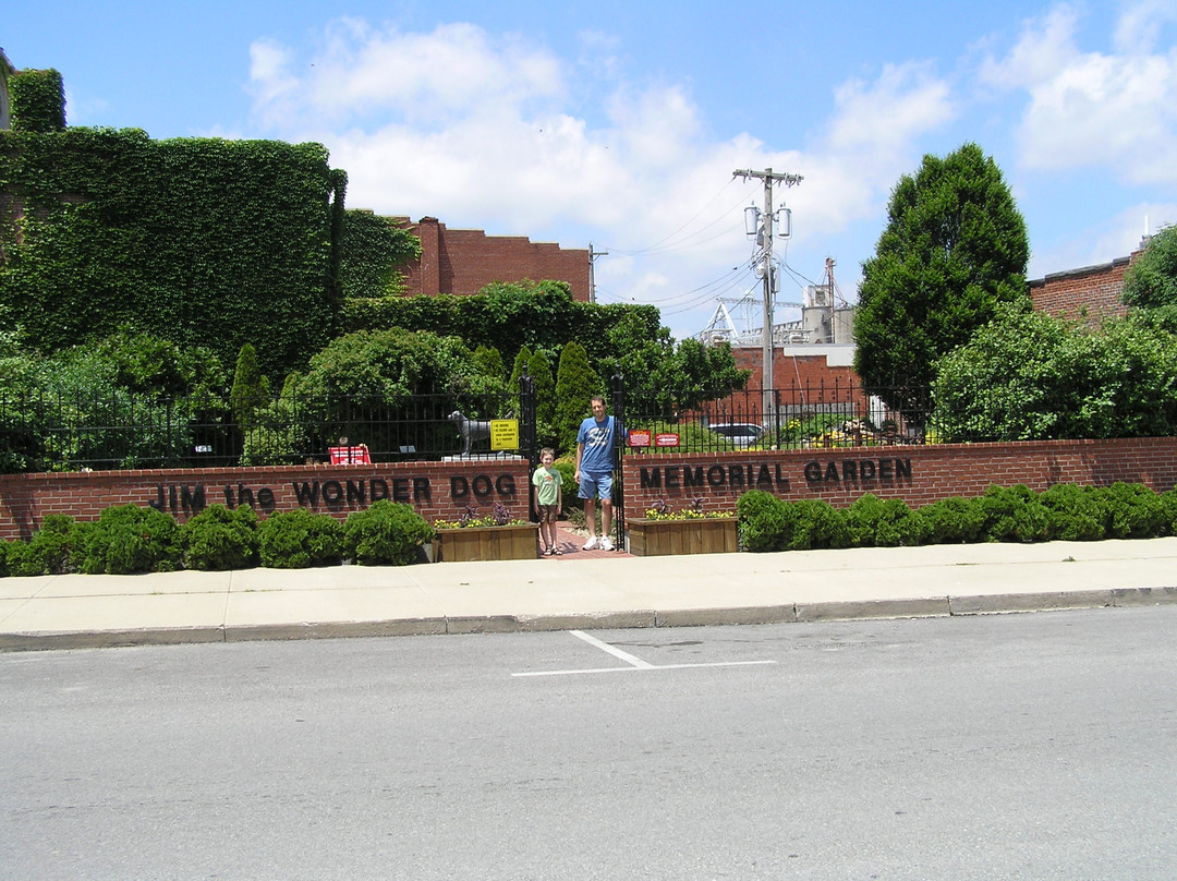 Wonder Dog Memorial Garden景点图片
