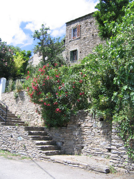 Maison Borghetti-官方