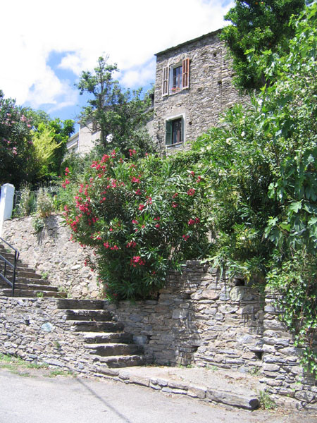 Castellare-di-Casinca旅游攻略图片
