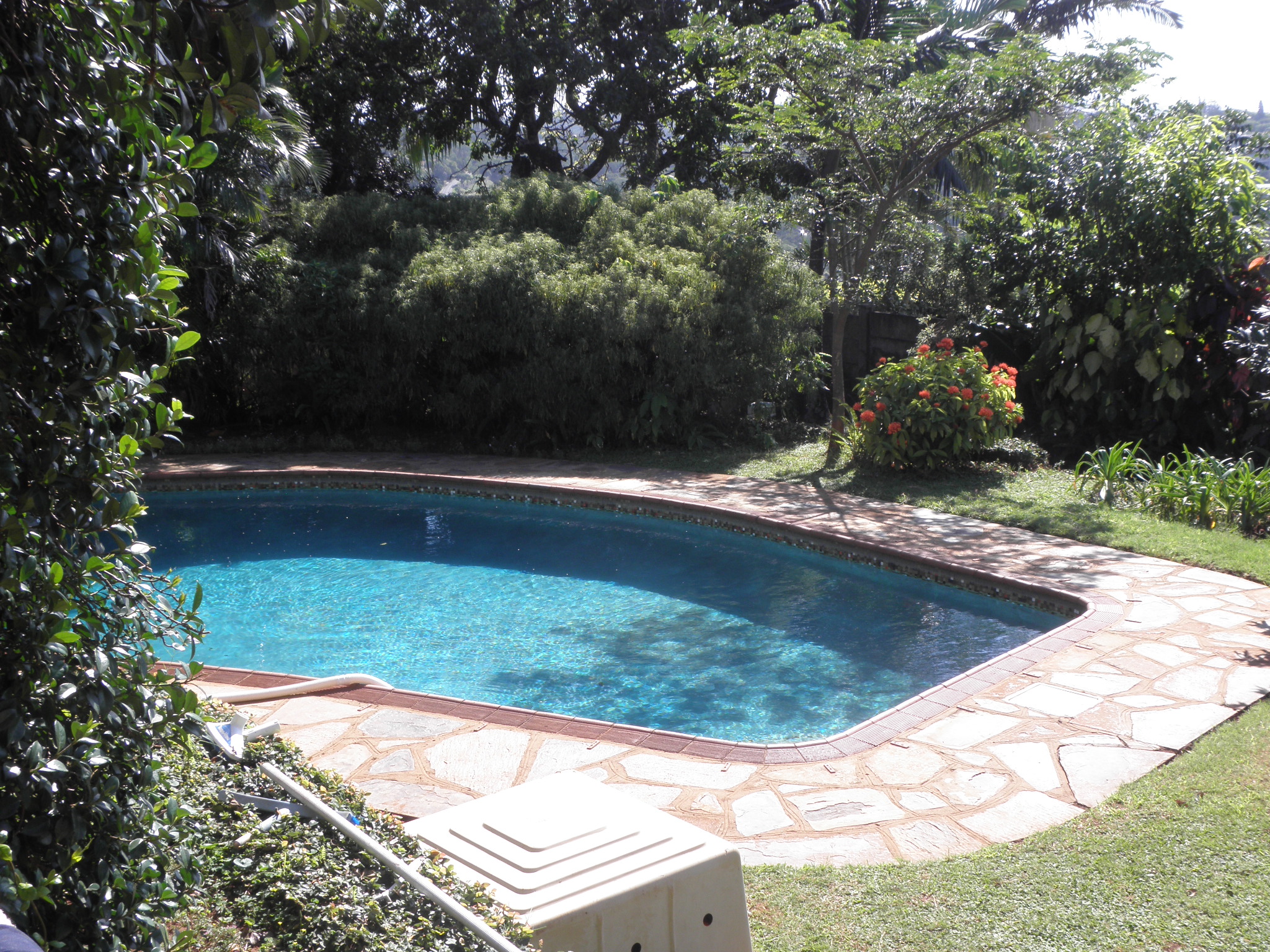Hilltop-Durban B&B-客卧