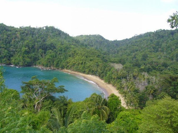 Englishman's Bay-多巴哥必去景点