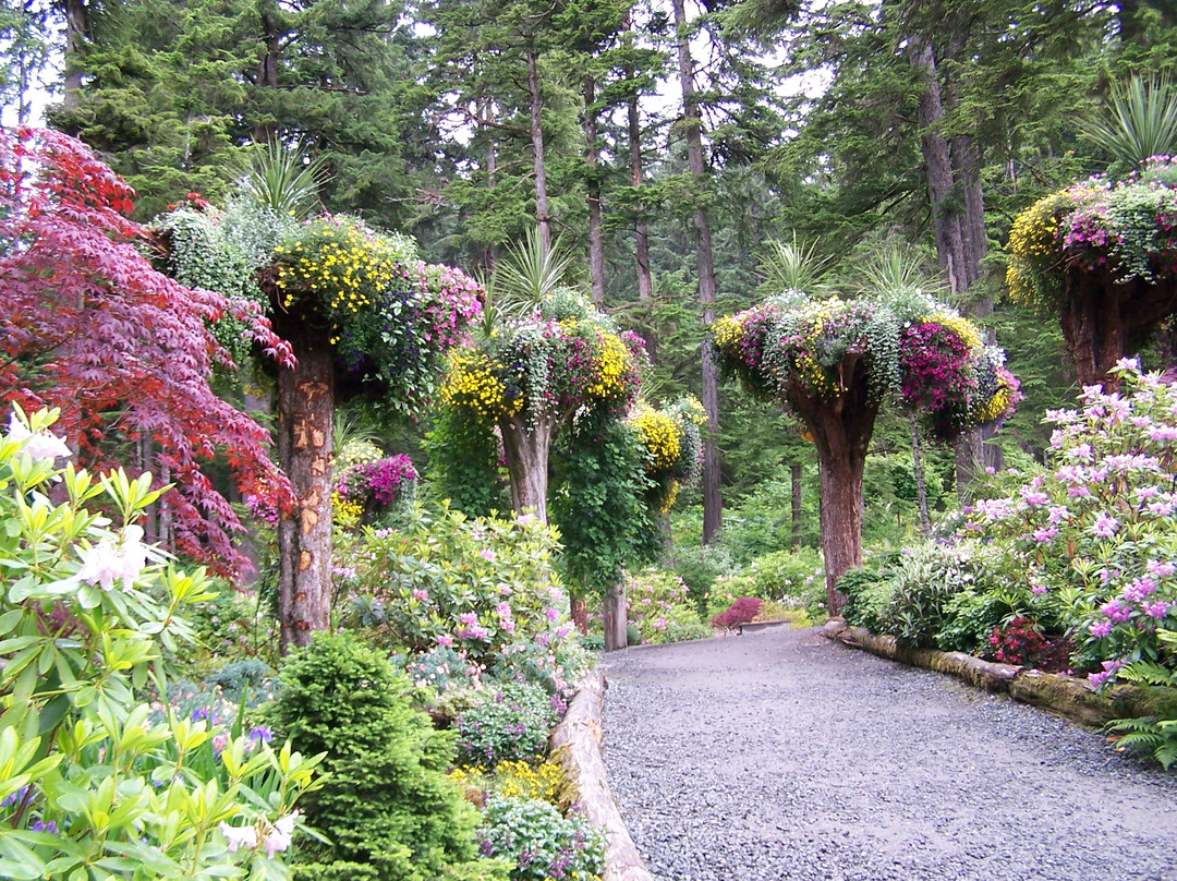 Glacier Gardens Rainforest Adventure-朱诺必去景点