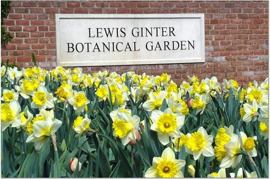 Lewis Ginter Botanical Garden-里士满必去景点