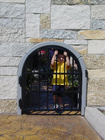 弗里德里克梅雅公园与雕塑公园-大急流市必去景点