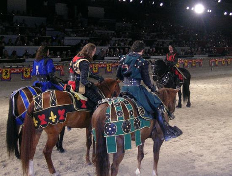 Medieval Times Dinner & Tournament-多伦多必去景点