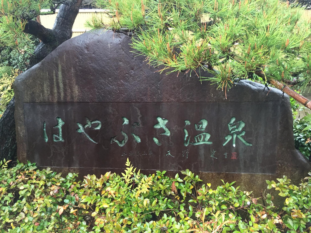 Hayabusa Onsen-山梨市必去景点