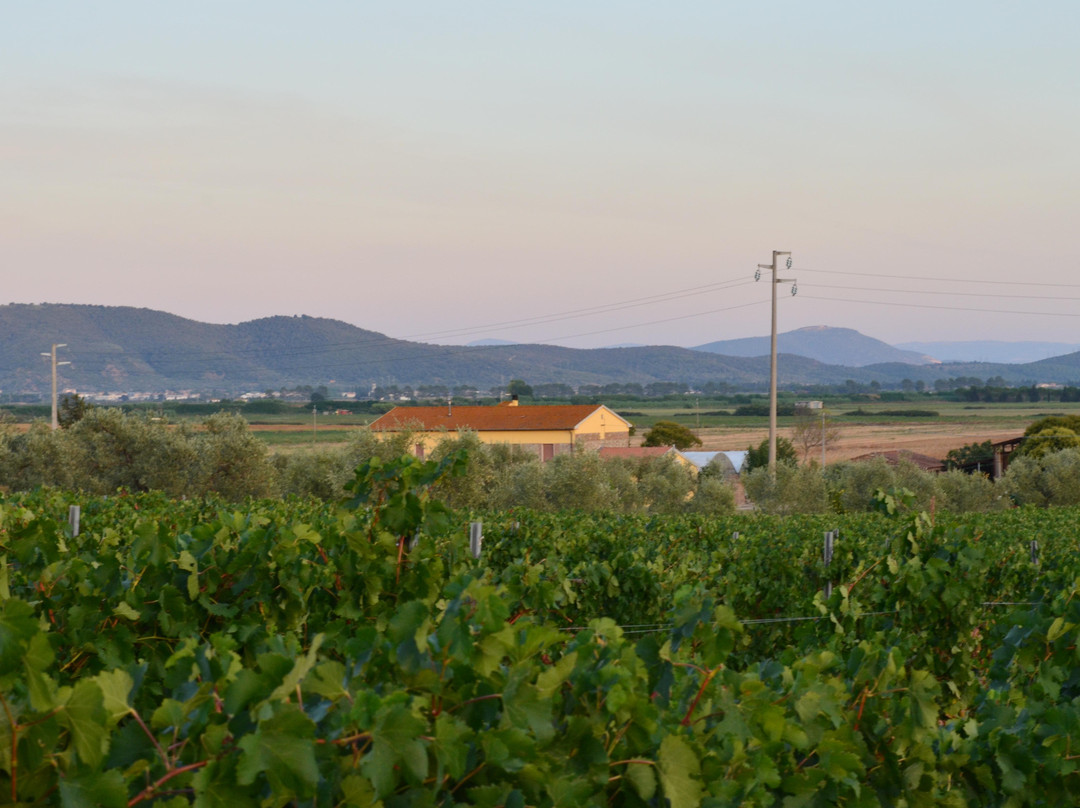Azienda Agricola La Magia景点图片