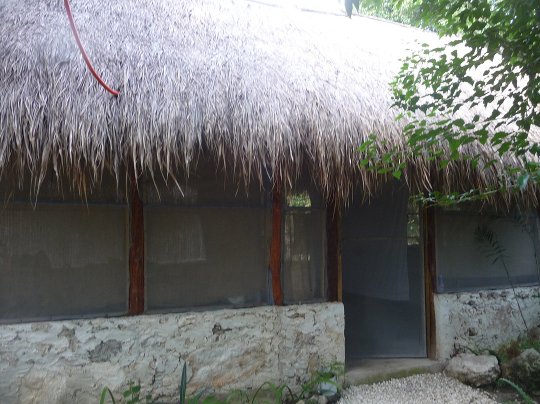 Ixchel Jungle Spa-从莫雷洛斯港必去景点