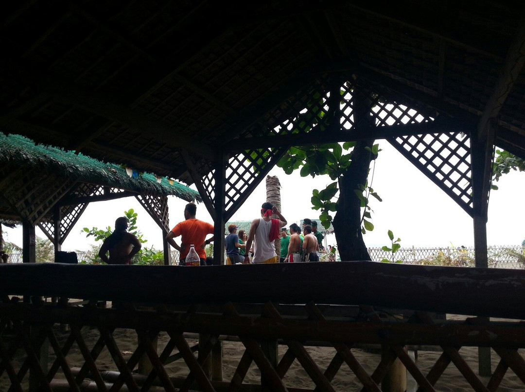 Shorebirds Beach Resort