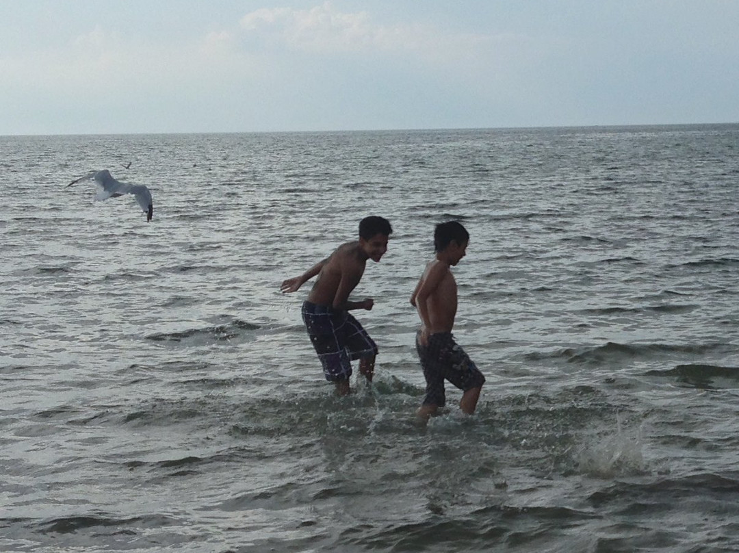 Wasaga Beach Provincial Park景点图片