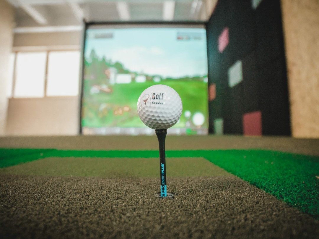 Golf Studio Ana景点图片