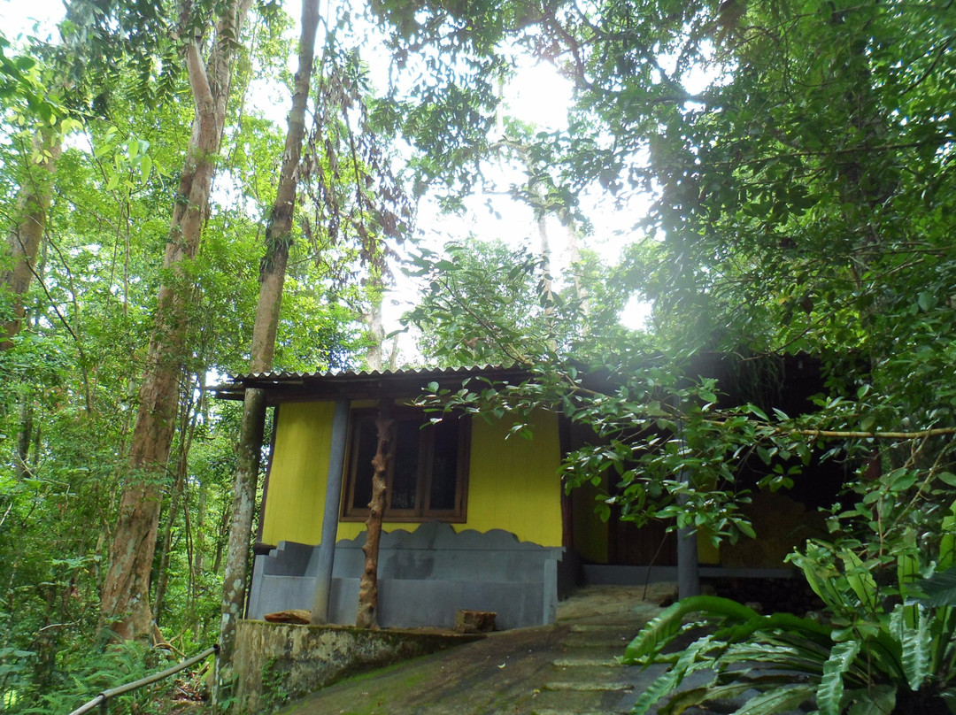 Jungle Track Eco Lodge