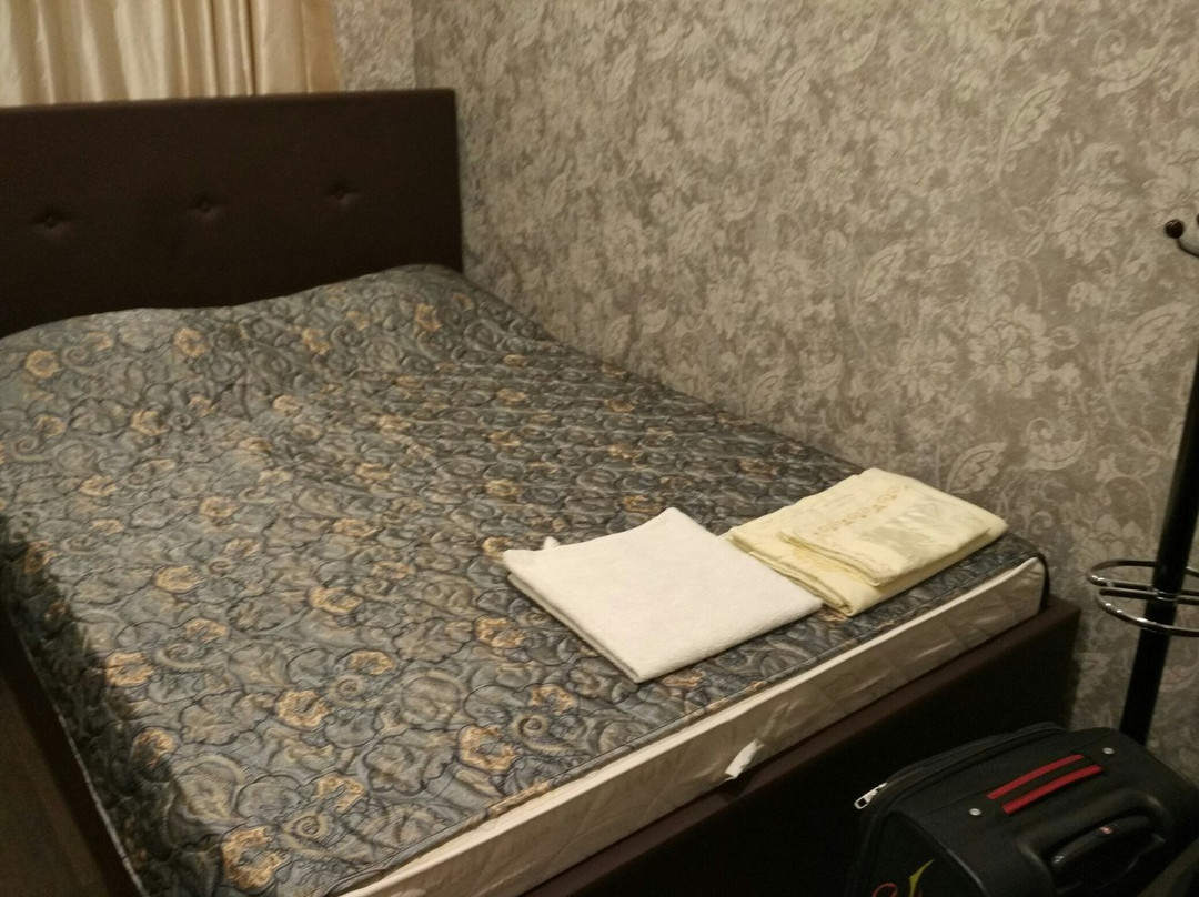 Zheleznodorozhny旅游攻略图片