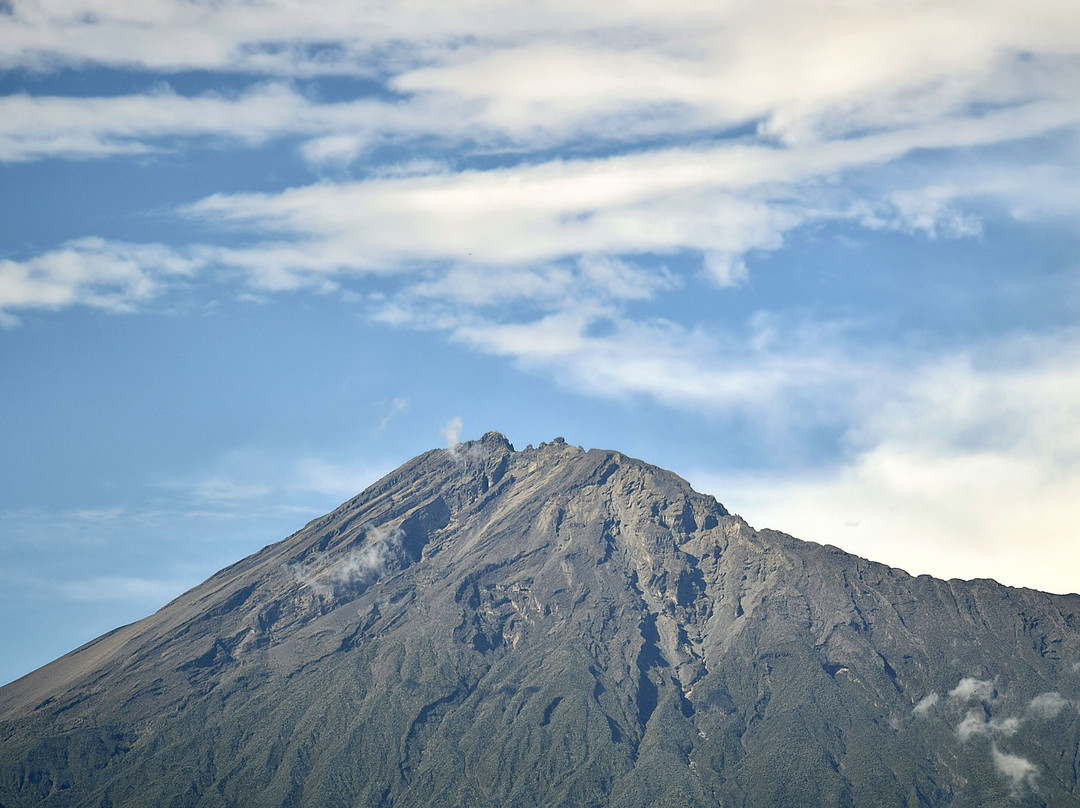 BEST Kilimanjaro CLIMB | HIKE | BIKE TREK | Tanzania Safaris from Moshi & Arusha