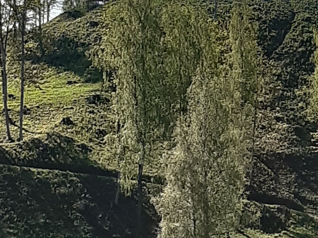 12th Century Ruins of the Otepaa Bishop's Castle