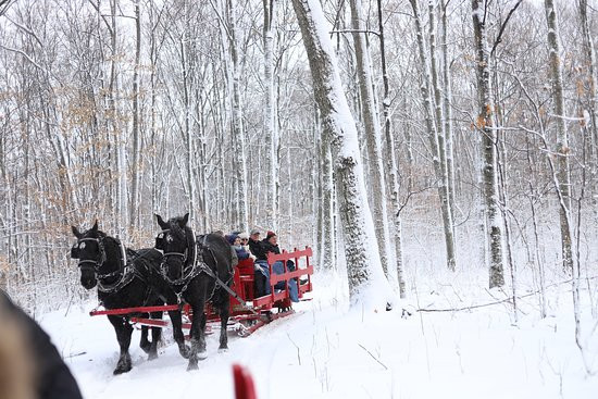Black Horse Farms景点图片