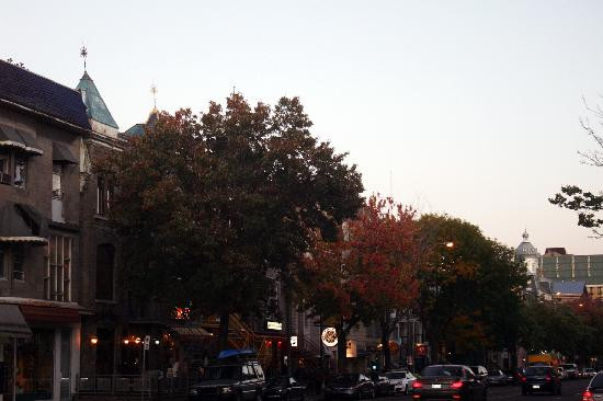 Plateau Mont-Royal-蒙特利尔必去景点